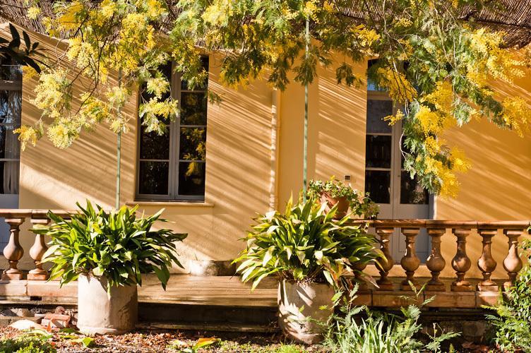 Ille-sur-Têt Les Buis Bed & Breakfast エクステリア 写真